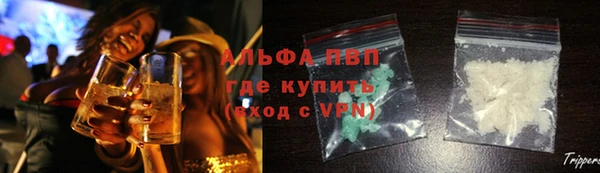 СК Весьегонск