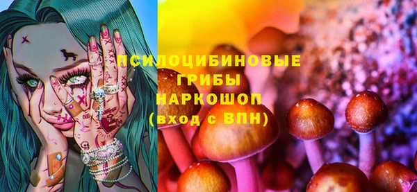 spice Абаза