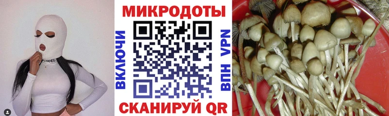 как найти закладки Ирбит Галлюциногенные грибы Psilocybe