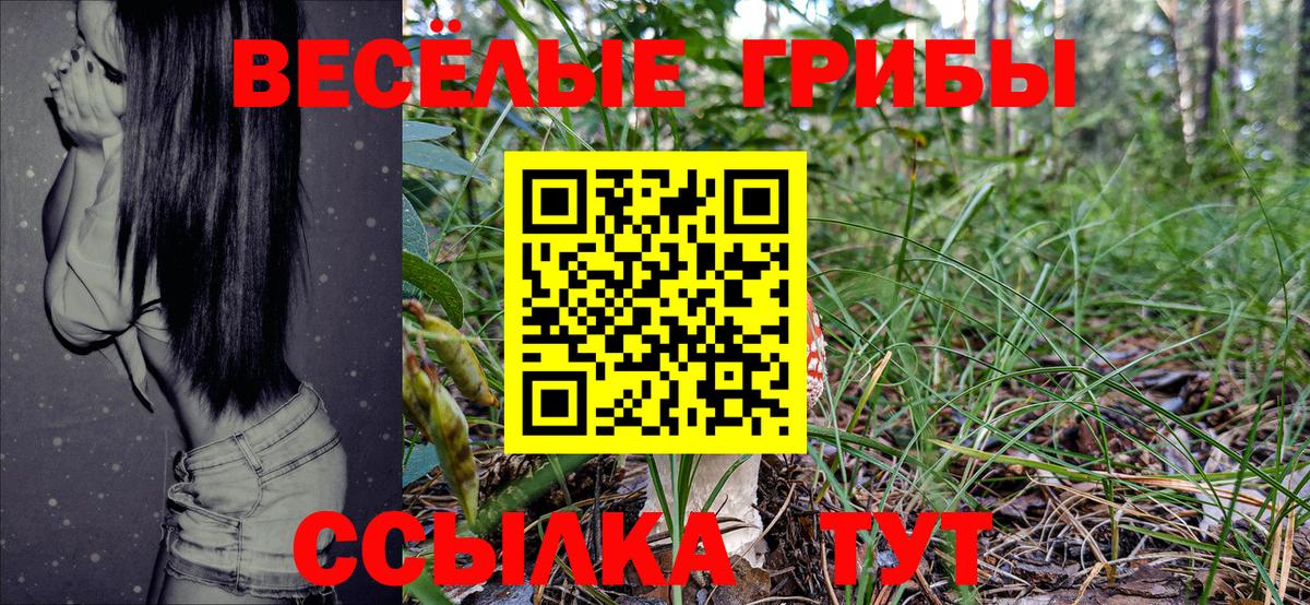 Псилоцибиновые грибы GOLDEN TEACHER Ирбит